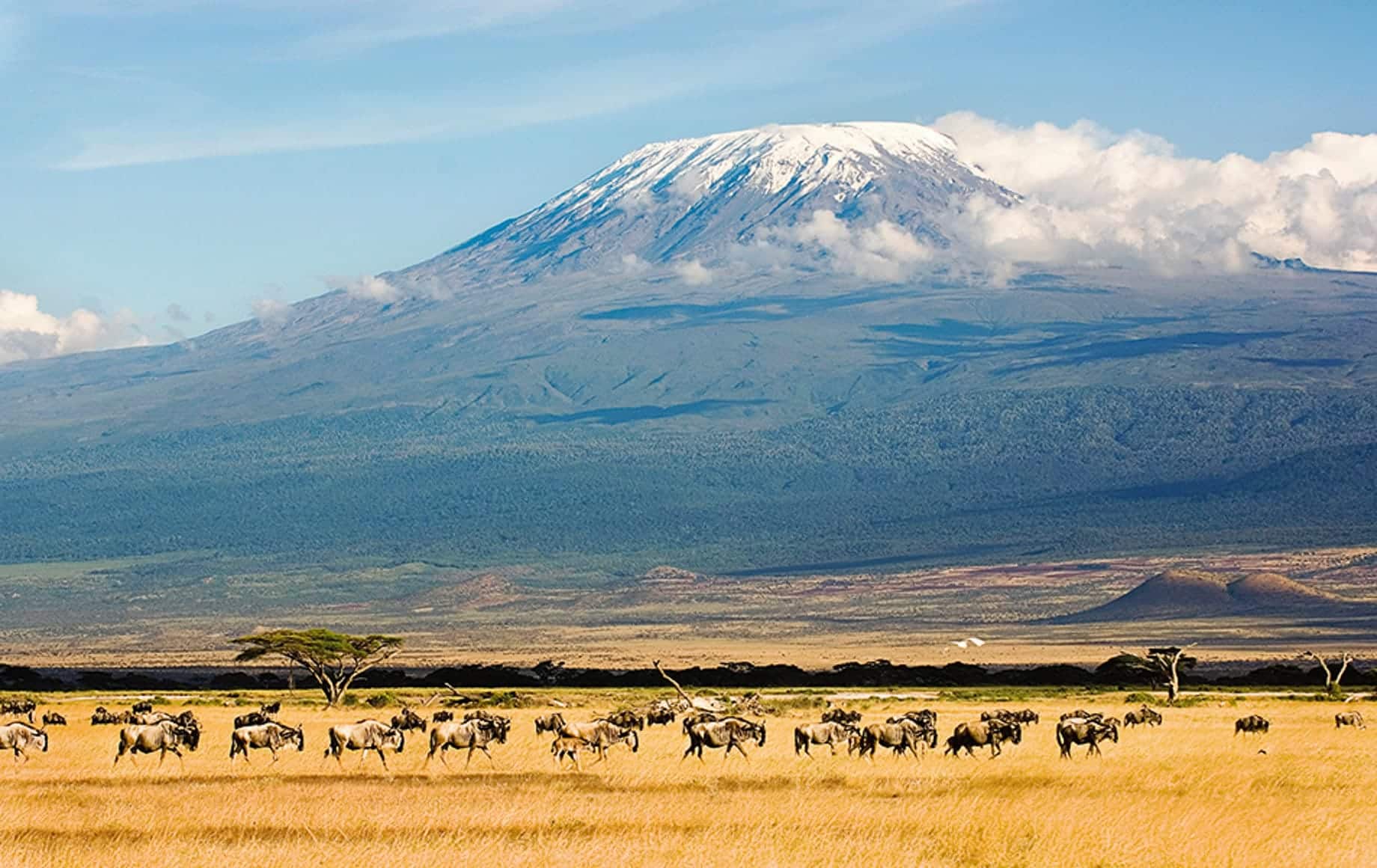 5 Days Marangu Route