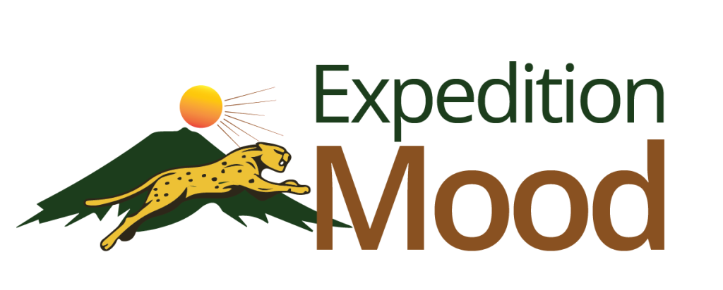 Expedition mood logo
